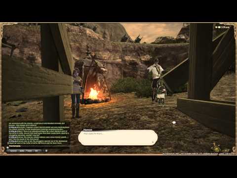 Final Fantasy XIV  A Realm Reborn - Pugilist Lv 15 Quest - The Spirit Is Willing