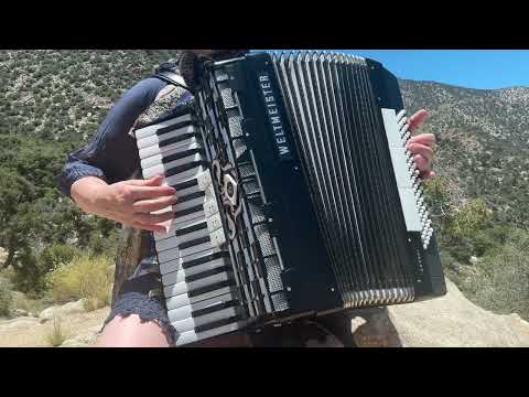 "I watch the sky and think" Vintage Weltmeister accordion Cordal. Дивлюсь я на небо