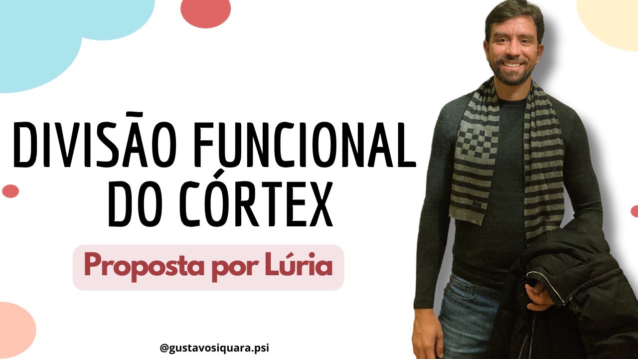 Divisão Funcional proposta por Luria - Divisão Funcional  de Córtex #neuropsicologia