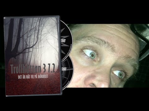 Mimikry – Roadmovie Trollhättan