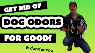 100% Guarantee: How To Get Rid Of Dog Odors, Dander, Urine For Good And Smell Like New Carpets Again