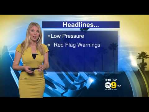 Evelyn Taft 2012/08/22 KCAL9 HD; Yellow dress