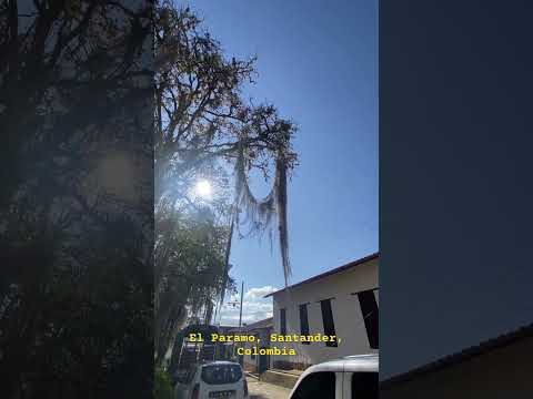 El Paramo, Santander, Colombia