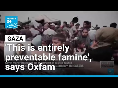 'Famine is unfolding. It's not pending anymore': Why isn't enough food reaching people in Gaza?