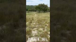Bergheim Trail Rocks #rock #music