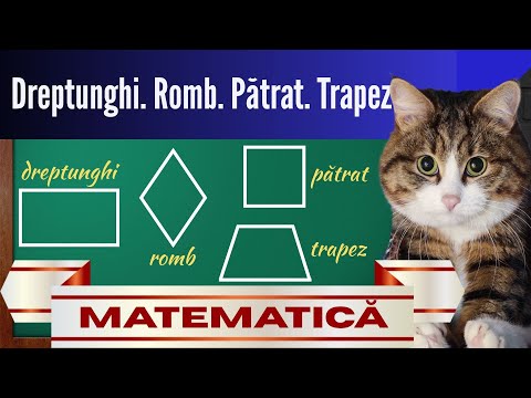 Dreptunghiul. Rombul. Pătratul. Trapezul - DEFINIȚII și CLASIFICARE | Clasa a 7-a