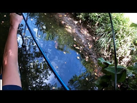 Bow Fishing For Pan Fish!!! (Catch Clean Cook)
