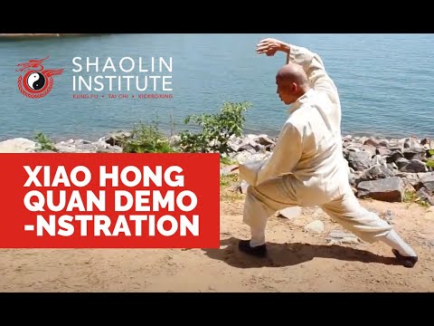 Shaolin Institute Shaolin Grandmaster Shifu Deru Xiao Hong Quan Demostration #shaolinkungfu #kungfu