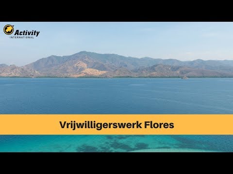 Vrijwilligerswerk op Flores