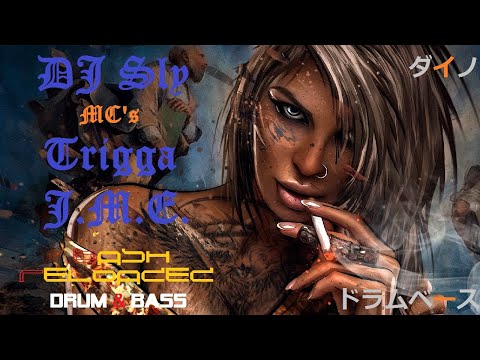 DJ Sly & MC's Trigga,J.M.E. - Bash Reloadedドラムベース