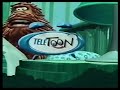 Teletoon ID Sasquatch 2005