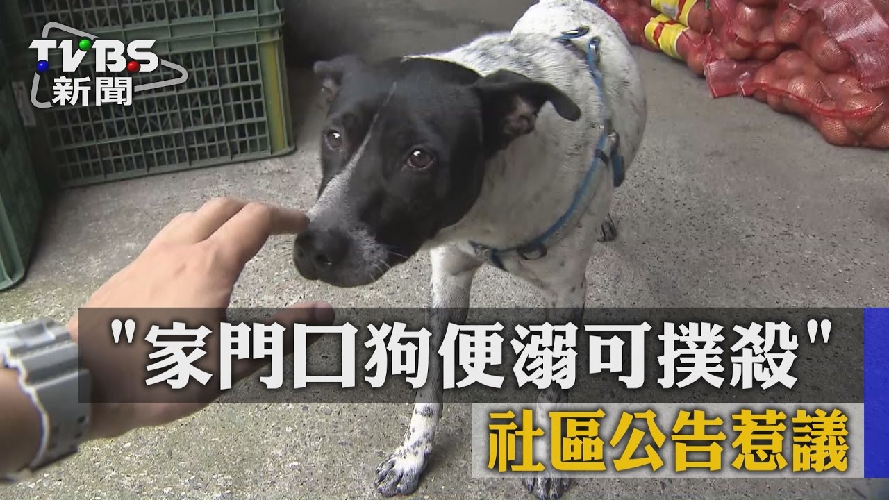 殘忍!「家門口狗便溺可撲殺」 社區公告惹議