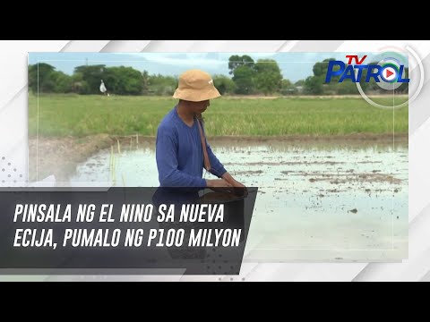 Pinsala ng El Nino sa Nueva Ecija, pumalo ng P100 milyon TV Patrol