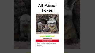 All About Foxes