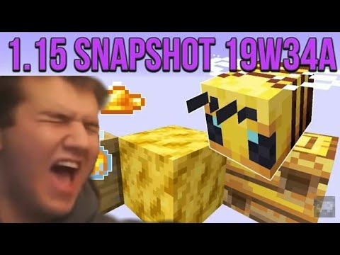 Minecraft news #7 METTERANNO LE API SU MINECRAFT!!?!?😱🐝