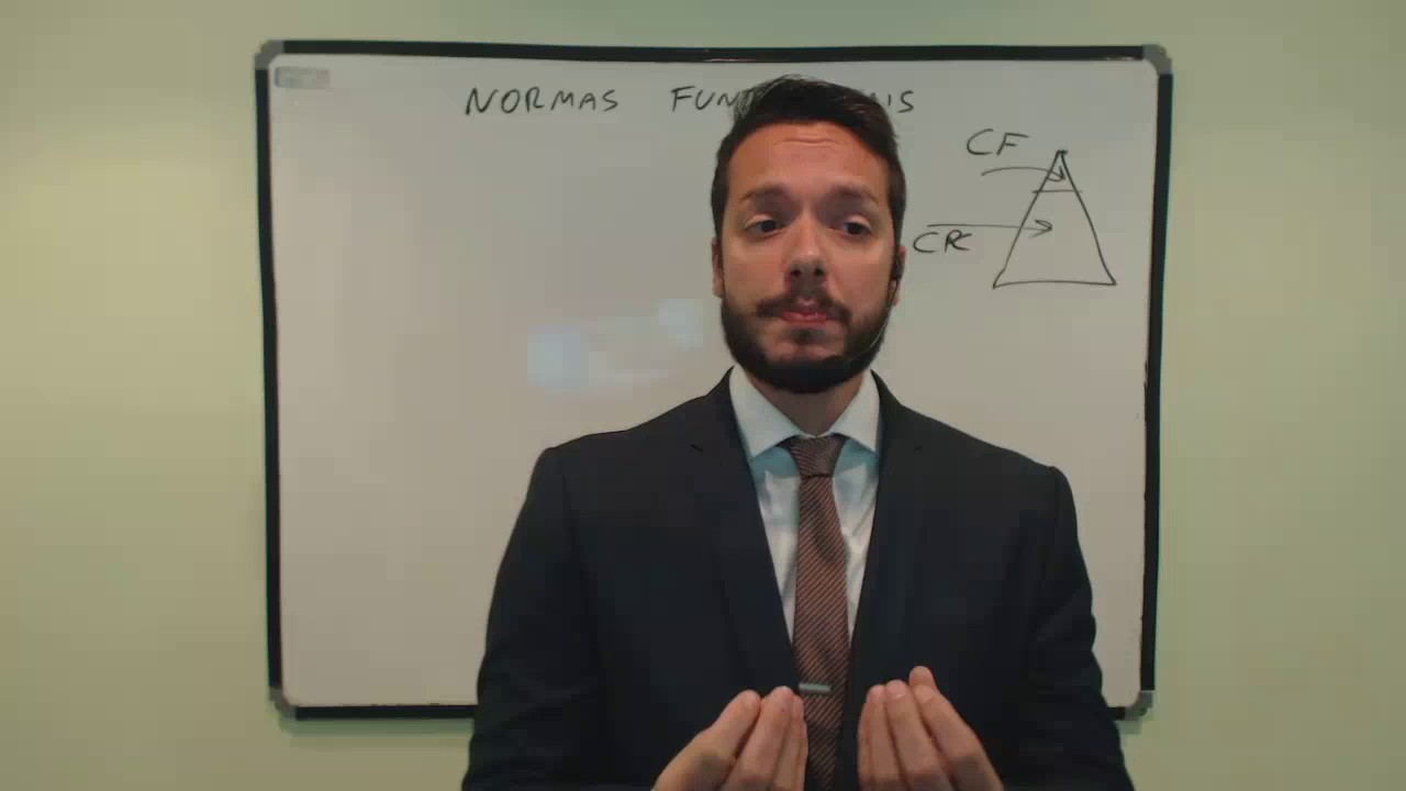 Novo CPC - Artigo por Artigo - Aula 01 - Normas Fundamentais - Art. 1º a 12