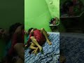 Red Area Inside 2023 Viral Budhwarpeth अंदर का वीडियो