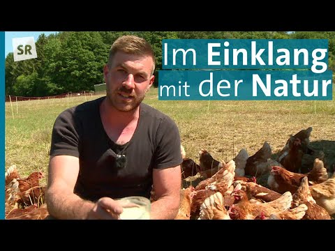 Naturnahe Landwirtschaft: Nachhaltige Konzepte aus dem Saarland I Saar Natur