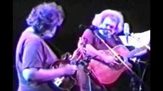 Instrumental - Jerry Garcia & David Grisman - Warfield Theater, SF 2-2-1991 set1-02