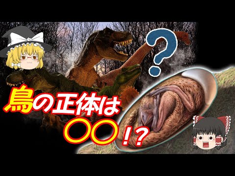 恐竜の時代からの現代の鳥