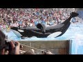 Blackfish - Official Trailer - YouTube