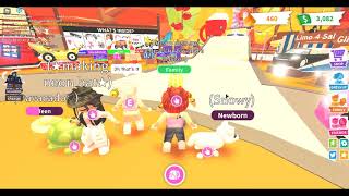 Adopt Me : With Twin and Unicorn : Dream Pet Holding Center