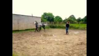 Holding on to heaven. 14/06/2014