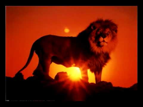 Rebelution - Heart Like A Lion