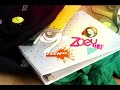 TEENick Zoey 101 WBRB And BTTS Bumpers 2007