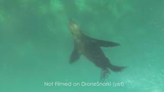ドローンの水中撮影を可能にするガジェット「Drone Snorkl」