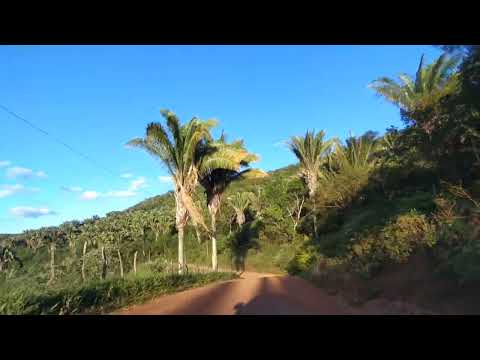 Bananeira à Sapucaia, Miguel Calmon - Ba = 16/04/2026