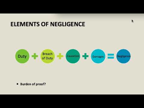 Overview of Tort Law + Negligence