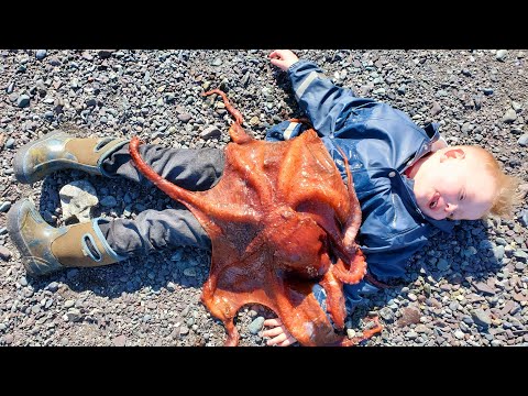 Hunting Giant Octopus, Fishing & Costal Foraging - 3 Day Camping Catch & Cook Adventure in Alaska