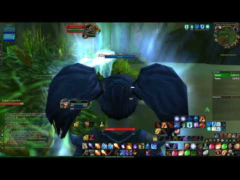 WoW Classic Hardcore ZG Mage AoE Farm