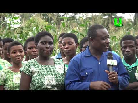 AYEKOO: SCHOOLS IN AGRIC PROGRAM ( KUKUOM AGRIC SHS)