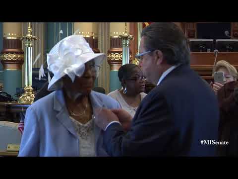 Sen. Kowall participates in Gold Star Families pinning ceremony