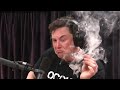 Elon Musk In The End