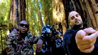 Fidel Cash - Mo Money (feat. Berner & Symba) (Official Video)