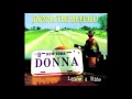 Donna the Buffalo - 03 - rockin' horse
