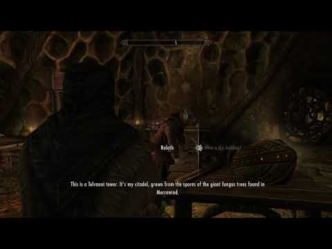 Ri'torfo Meets Master Neloth