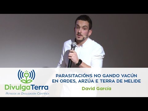 Vídeo: Parasitacións no gando vacún en Ordes, Arzúa e Terra de Melide