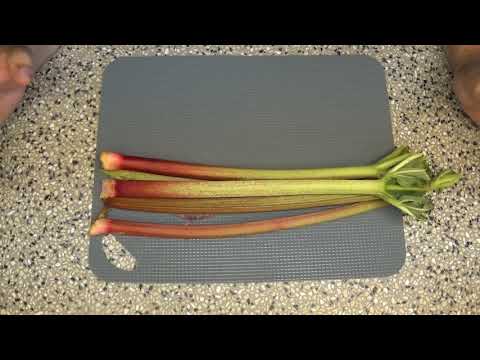 Rhabarber- Dinge die man darüber wissen sollte