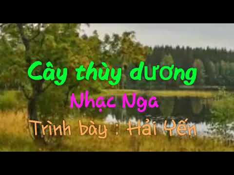 Cây thùy dương - Hải Yến