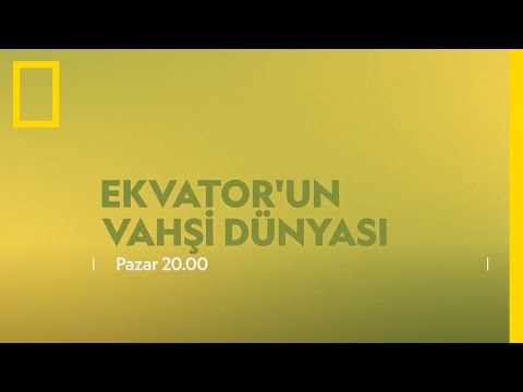WILD I Ekvator'un Vahşi Sırları