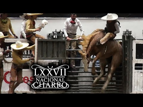 MARE RIDING day 21 grand FINAL - Aguascalientes Congress 2021