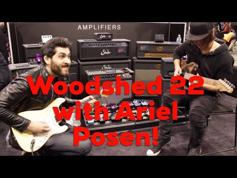 Woodshed ep 22 with special guest Ariel Posen