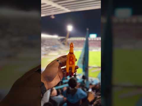 "NUNCA te ol" Barra: Los Piratas Celestes de Alberdi &bull; Club: Belgrano &bull; País: Argentina