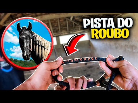 CLUE about the THEFT of my AMBASSADOR HORSE