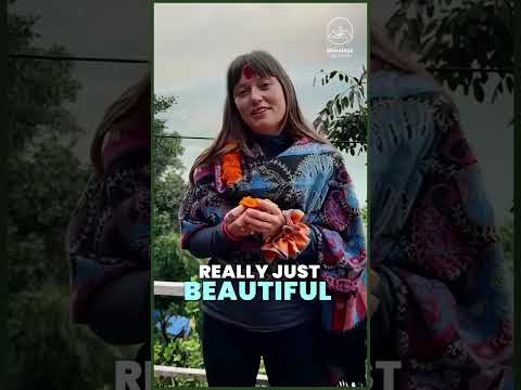 Yoga Student Testimonial 2