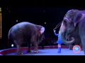 Ringling Bros Presents Super Circus Heroes Elephants